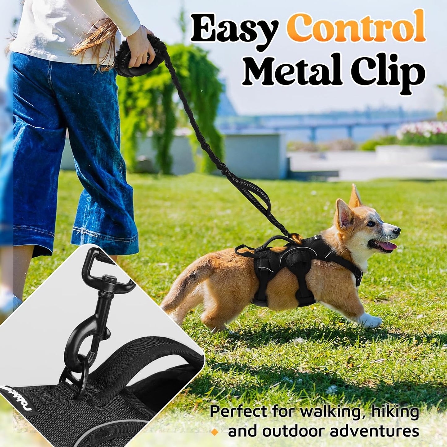 rabbitgoo Escape Proof Dog Harness, Soft Padded Full Body Pet Harness, Reflective Adjustable No Pull Vest with Lift Handle and Leash Clip for Large Dogs Walking Hiking Training, S, Black