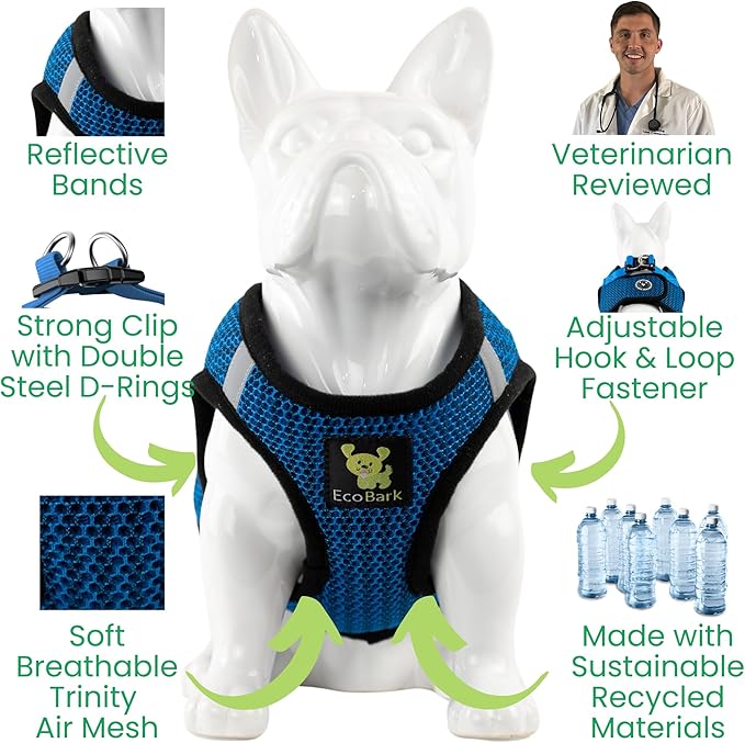EcoBark Dog Harness - Teacup Dog Harnesses for XXS, XS, and Small Dogs - Step in Mesh Mini Body Halter - Puppy to Senior Dogs - Toy Breed Dog Harness Vest Under 5 pounds lbs (XXXS, Bright Blue)