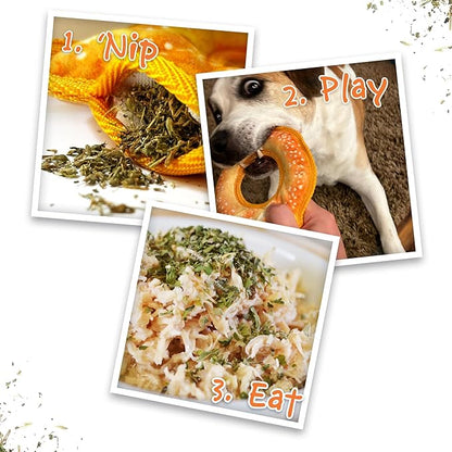 Doggijuana Tuffer Chewer Mini Plush Dog Toy | Funny Dog Toy Plush with Juananip Catnip for Dogs | Calming Aid for Dogs | Interactive Squeaky Chew Toy for Play (Pretzel Ring)