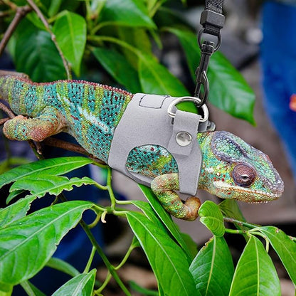 Bearded Dragon Harness and Leash Set, 3 Size Adjustable Soft Leather Reptile Leash, Lizard Harness with Retractable, Small Animal Outdoor Walking Vest with Traction Rope, 3 Pack, Grey