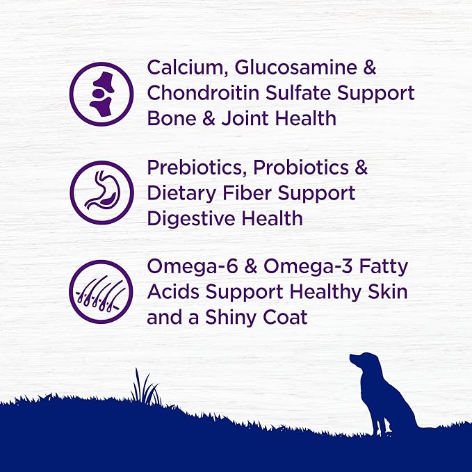 Wellness Complete Health Dry Dog Food, Large Breed, Grain Free, Natural, Chicken Recipe, (24-Pound Bag)