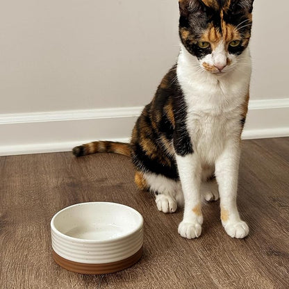 Mora Ceramic Pet Bowl Size Small - Food/Water Dish for Puppy Dogs, Cats, Guinea Pig, Rabbit, Hamster, Snake, ect. 11oz or 2 Cups - Basic Bowls for Your Dog or Cat, Mix and Match for a Set - Vanillla
