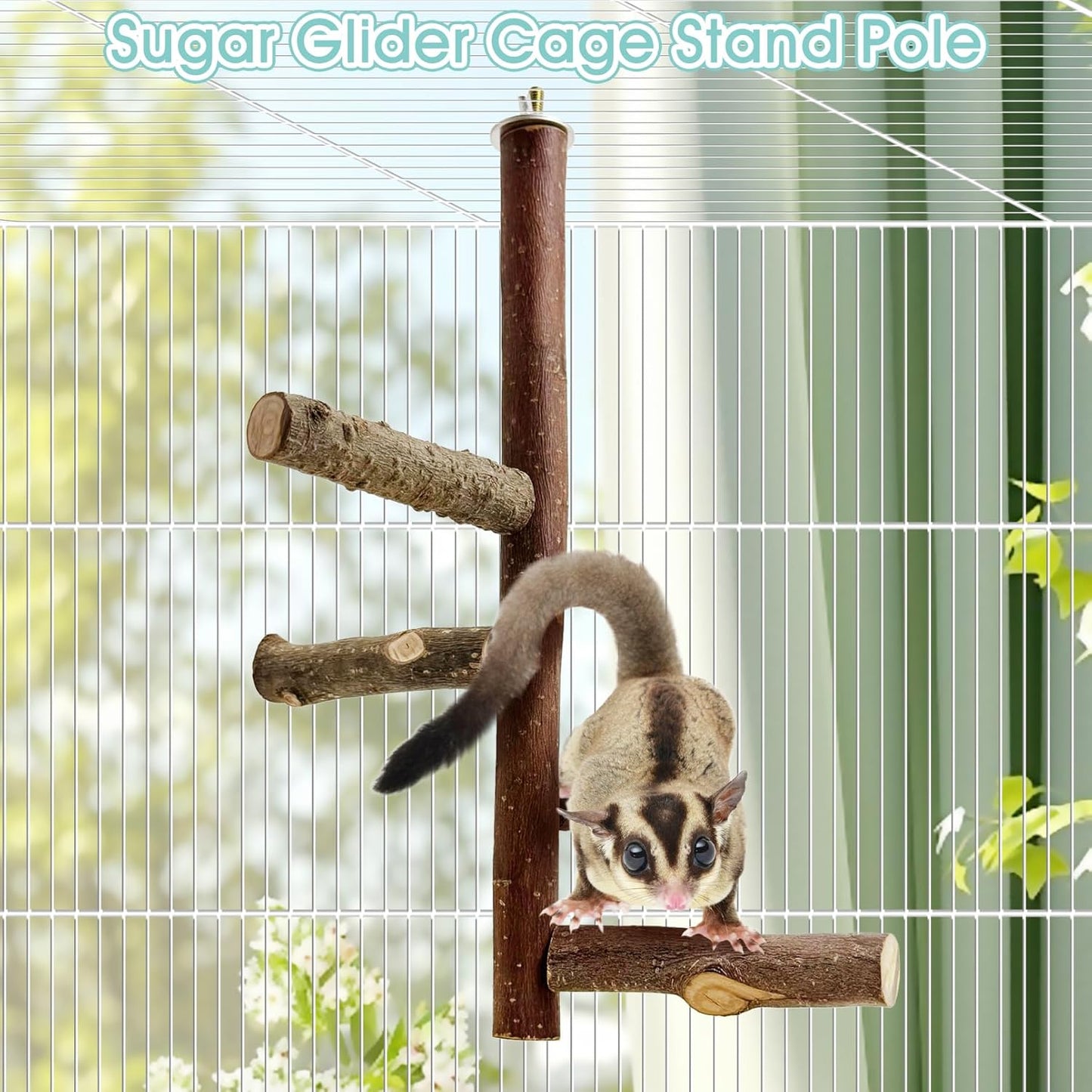 BNOSDM Sugar Glider Toy Natural Fruitwood Perch Stand Squirrel Hanging Wooden Climbing Pole Hamster Paw Grinding Perch Small Animal Cage Accessories for Chinchillas Rats Gerbil