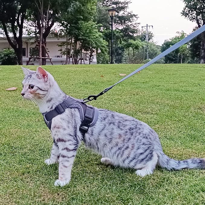 Cat Harness and Leash Set Escape Proof Tactical Extra Large Kitten Harness Emotional Support Cat Vest, Grey, XL