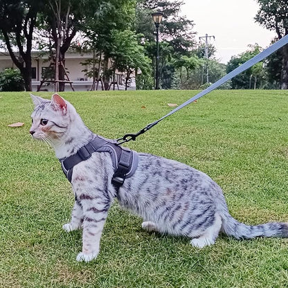 Cat Harness and Leash Set Escape Proof Tactical Extra Large Kitten Harness Emotional Support Cat Vest, Grey, XL
