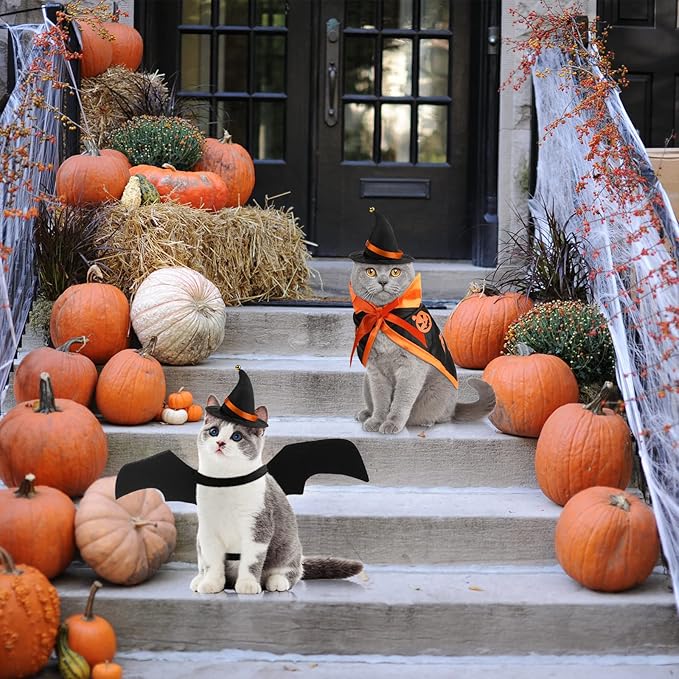 Frienda 3 Pieces Cat Halloween Vampire Costume Includes Vampire Costume Cloak Wizard Hat and Cat Bat Wings for Kittens Pet Halloween Party Cosplay Accessories(Orange,Pumpkin)