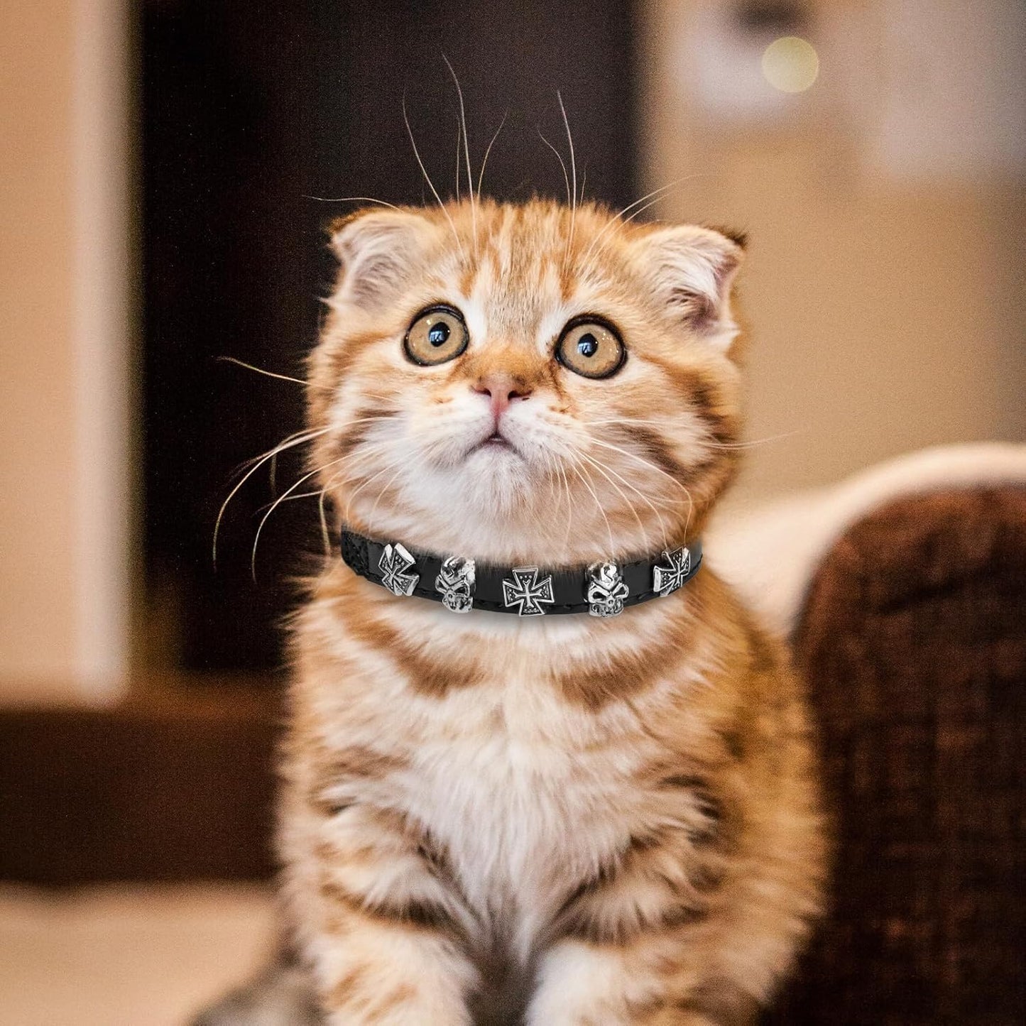 EXPAWLORER Leather Cat Collar for Girl Boy- Adjustable Pet Collar with Safety Elastic Belt,Personalized Punk Accessories Buckle Collars with Bell & Durable D-Ring, Skull(Black)