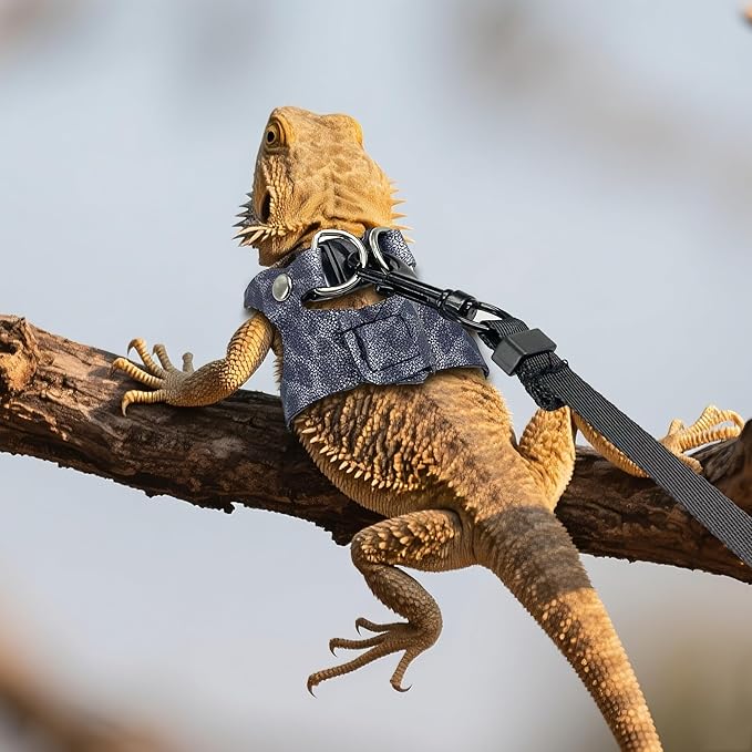 AIITLE 3 Pack Adjustable Bearded Dragon Harness and Leash Set - Leopard Print, Comfort Soft Leather Vest for Lizards, Iguanas, Guinea Pigs, Outdoor Camping & Walking, Blue