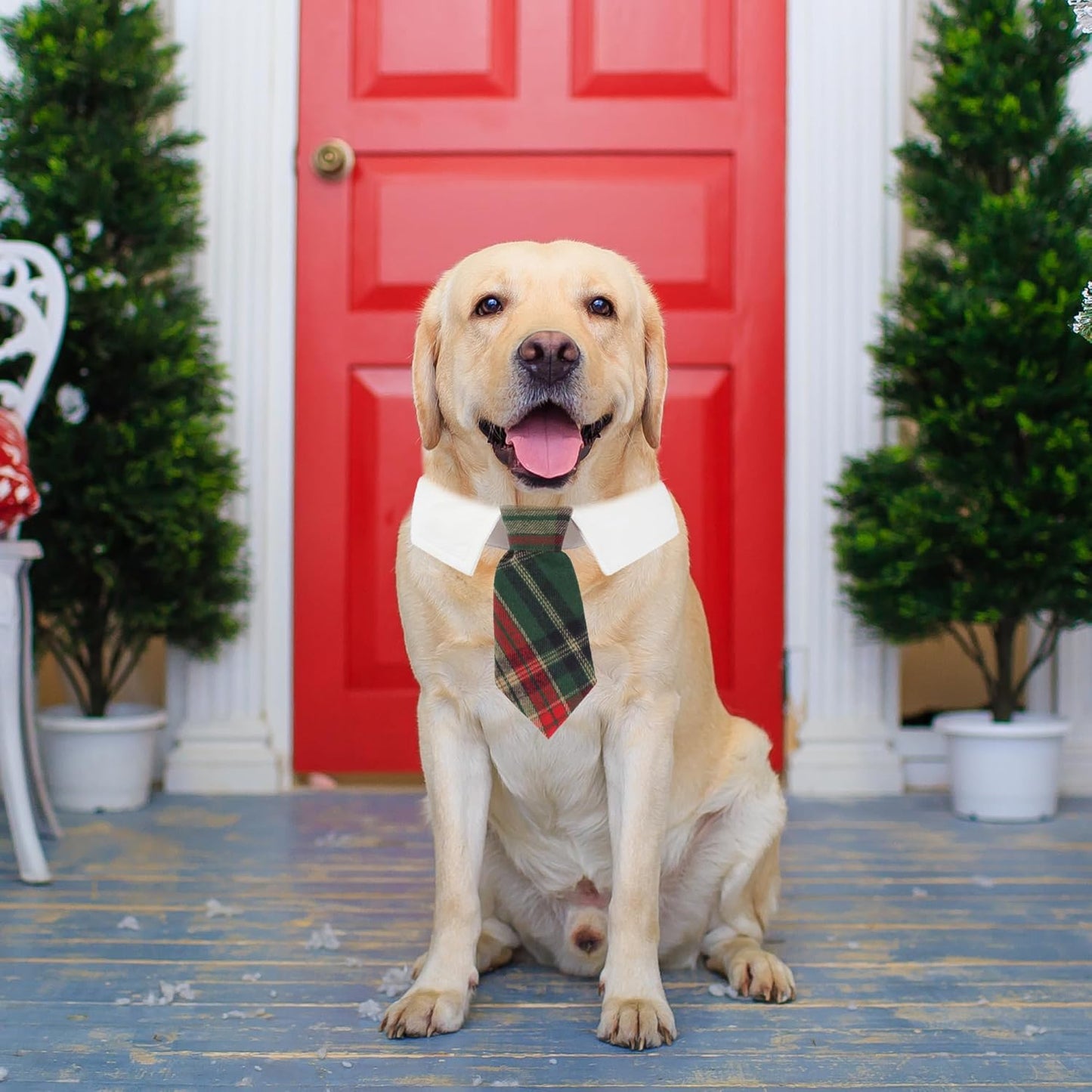 ADOGGYGO Christmas Dog Necktie, Xmas Pet Tuxedo Costume, Green Plaid Christmas Neck Tie Collars for Large Dogs (Large)