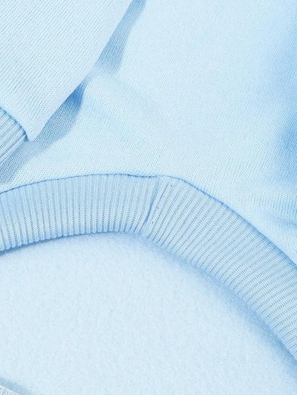 QWINEE Basic Dog Hoodie Sweatshirt Puppy Sweater Warm Cat Costumes Pet Clothes for Chihuahua Puppy Kitten Small Medium Dogs Light Blue XX-Small