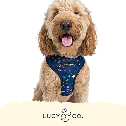 Lucy & Co. Space Doodle, Cute Reversible Dog Harness Walking Halter - Best Designer Pet Harnesses for Medium Dogs - Padded Adjustable Vest for Easy Walking (X-Small)