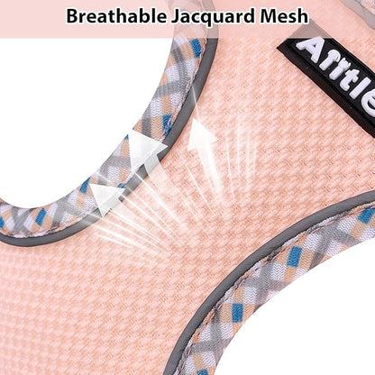 AIITLE Dog Harness and Leash Set - Ultra-Comfortable XXS-XL Vest with Strong Magic Tape & Glow-in-Dark Reflective Strips, Chafe-Free for Teddy, Schnauzer (Turquoise-Pink, M)