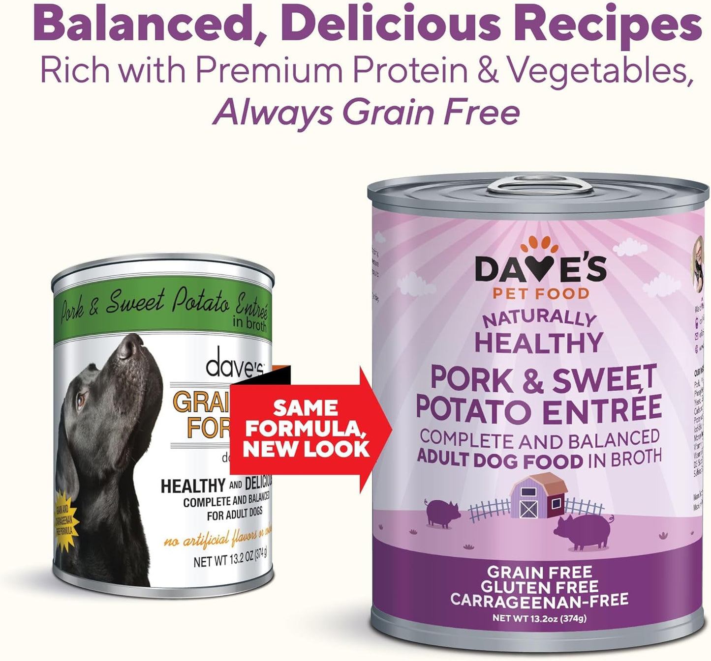 Dave’s Dog Food Grain Free Dog Food Wet (Pork & Sweet Potato in Broth), Made in Canada Naturally Healthy Canned Topper, Gluten Free, 13.2 oz (12 Pack)