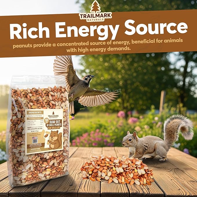 5 LB - Raw Shelled Peanuts For Squirrels, Out of Shell Peanuts For Birds and Wildlife- Squirrel Food, Wild Bird Seed - Grown in The USA