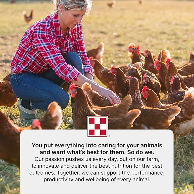 Purina Layena + High Protein Layer Chicken Feed (10 Pound)