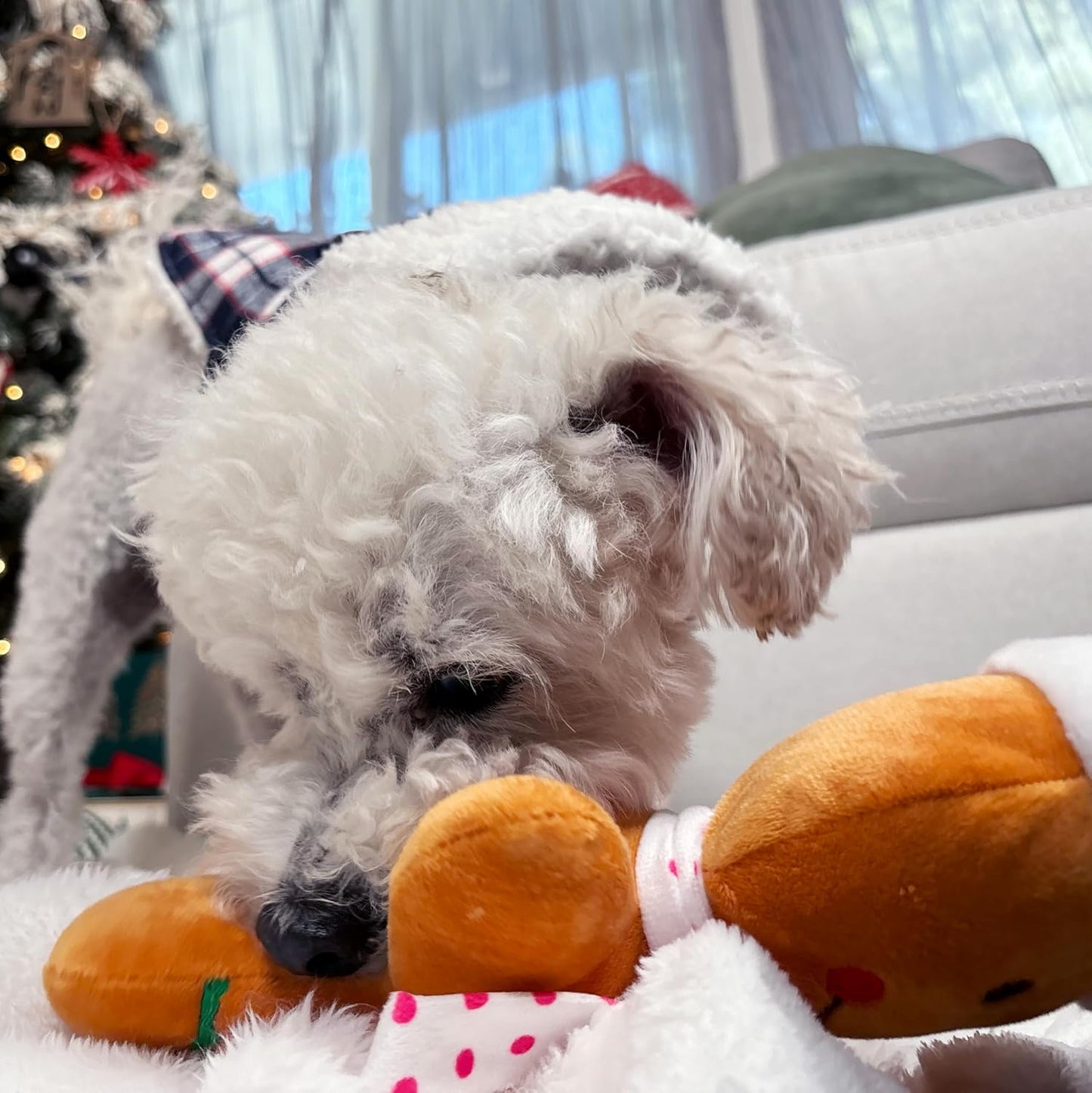 Holiday Plush Pet Toy Fun for Christmas Designs with Squeaker Dog Chew Toy (12" Gingerbread Boy)