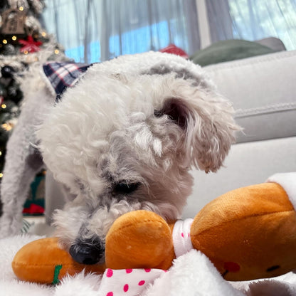 Holiday Plush Pet Toy Fun for Christmas Designs with Squeaker Dog Chew Toy (12" Gingerbread Boy)