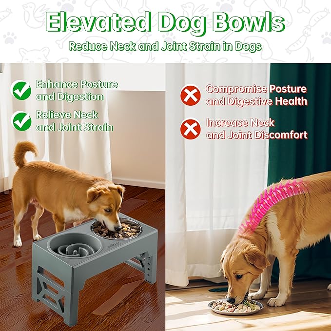 EliteField Elevated Dog Bowls (2-Year Warranty), Two 58 oz Stainless Steel Food Bowls, 5 Adjustable Raised Heights (4", 9.5", 10.5", 11.5", 12.75") Suitable for Dogs of All Ages, Small to Large Sizes