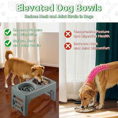 EliteField Elevated Dog Bowls (2-Year Warranty), Two 58 oz Stainless Steel Food Bowls, 5 Adjustable Raised Heights (4", 9.5", 10.5", 11.5", 12.75") Suitable for Dogs of All Ages, Small to Large Sizes