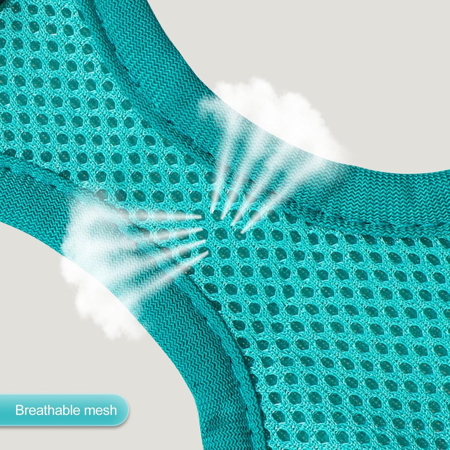 YIMEIS Dog Harness and Leash Set, No Pull Soft Mesh Pet Harness, Reflective Adjustable Puppy Vest for Small Medium Large Dogs, Cats (Turquoise, X-Small (Pack of 1)