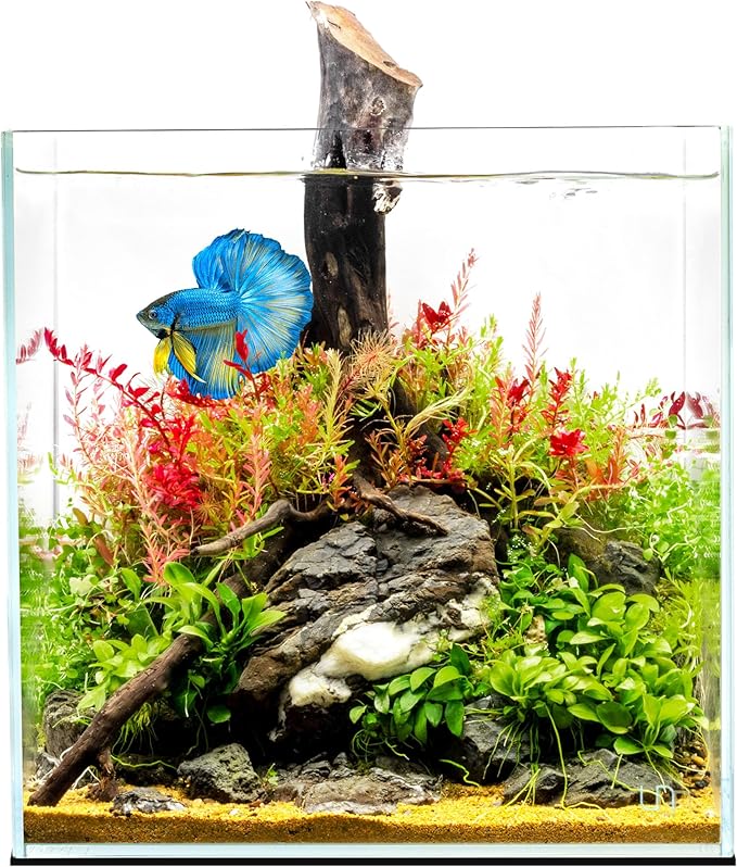 UNS Ultra Clear Rimless Tank - 16.9GAL | 64L - 15.74x15.74x15.74 | 40x40x40 CM, 6mm Glass Thickness, Leveling Mat Included - Low Iron, High Clarity Fish Tank w/ 45° Mitered Edge - [40C]