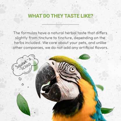 Birds Feathers | Natural Herbal Dietary Pet Supplement for Birds | Support Healthy Feathers | Alcohol-Free Extract, Dandelion Root, Calendula, Alfalfa, Peppermint, Fennel 2 oz