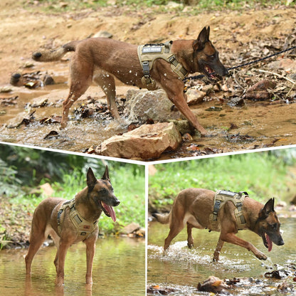 PET MARVEL Tactical Dog Harness for Large Size, No Pull Military Dog Vest with Easy Control Handle, Molle Hoop & Loop, Adjustable Reflective Reinforced Stich for Walking Training, Brown