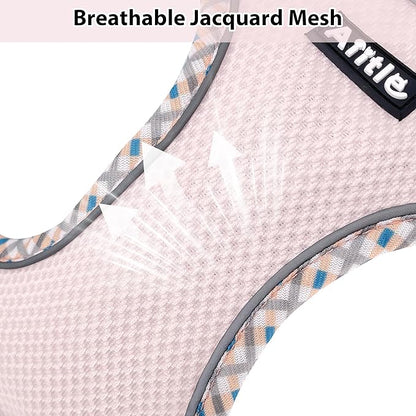 AIITLE Teacup Puppy Harness with Leash - Adjustable Soft Vest with Magic Tape & Reflective Safety Strips, Easy-Put-On for Poodles, Pomeranians - Gym, Hiking, Travel (Blue-Pink, S)