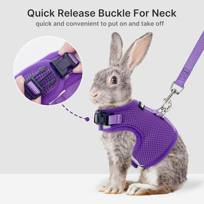 AIITLE Lightweight Escape Bunny Harness and Leash Set - Air Mesh Vest with Double D-Rings, Adjustable & Magic Tape Design, for Ferret/Cat/Puppy Training and Hiking Adventures, Purple L