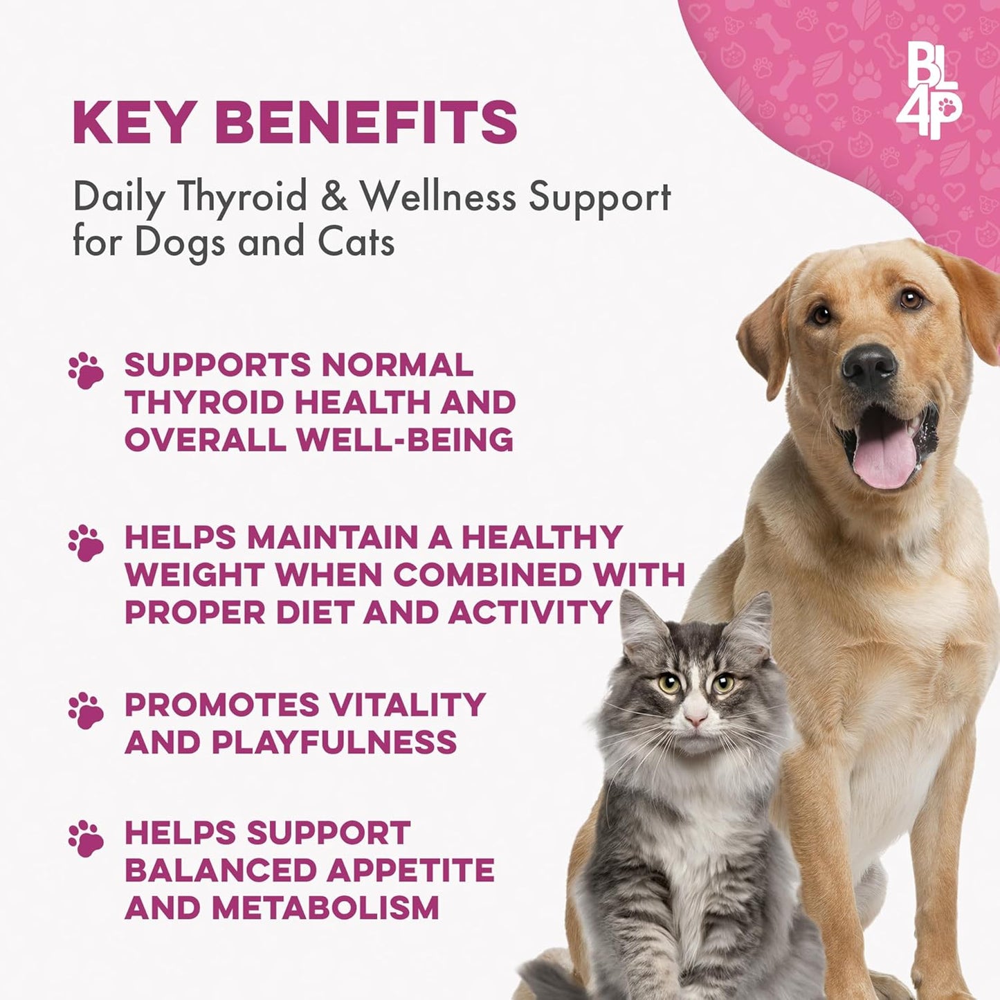 Weight & Thyroid Support for Dogs and Cats, Natural Solution for Hunger Control, Metabolism Support, Optimal Thyroid Function, Effective Dog & Cat Weight Loss, 400 Odorless, Tasteless Pills
