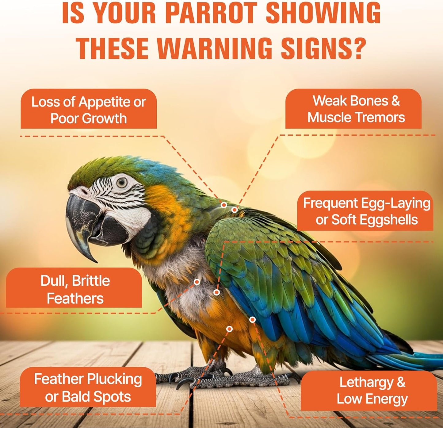 Calcium for Birds with Magnesium & Vitamins D3–Vet-Developed Formula for Parrots, Supports Strong Bones, Eggshell Health,Feather Growth,Muscle & Nerve Function,Dissolves Tasteless in Water,80 Servings