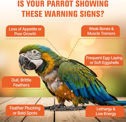 Calcium for Birds with Magnesium & Vitamins D3–Vet-Developed Formula for Parrots, Supports Strong Bones, Eggshell Health,Feather Growth,Muscle & Nerve Function,Dissolves Tasteless in Water,80 Servings
