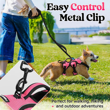 rabbitgoo Escape Proof Dog Harness, Soft Padded Full Body Pet Harness, Reflective Adjustable No Pull Vest with Lift Handle and Leash Clip for Large Dogs Walking Hiking Training, S, Pink
