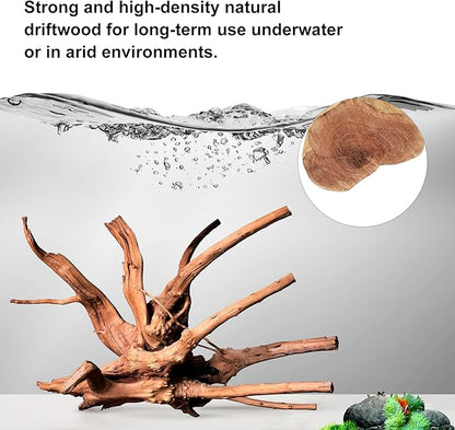 majoywoo Natural Large Driftwood for Aquarium Decor Reptile Decor, Assorted Spider Wood Branch 11-14" 2 Pcs, Fish Tank Decoration
