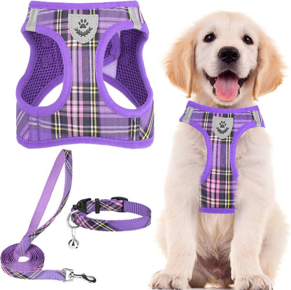 PUPTECK Adjustable Dog Harness Collar and Leash Set Step in No Pull Pet Harness for Small Medium Dogs Puppy and Cats Outdoor Walking Running, Soft Mesh Padded Reflective Vest Harnesses, Purple S