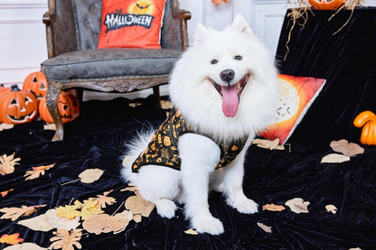 Aiboria Winter Dog Coat Windproof Fleece Jacket with Chest Strap Dog Vest Harness Halloween Black L