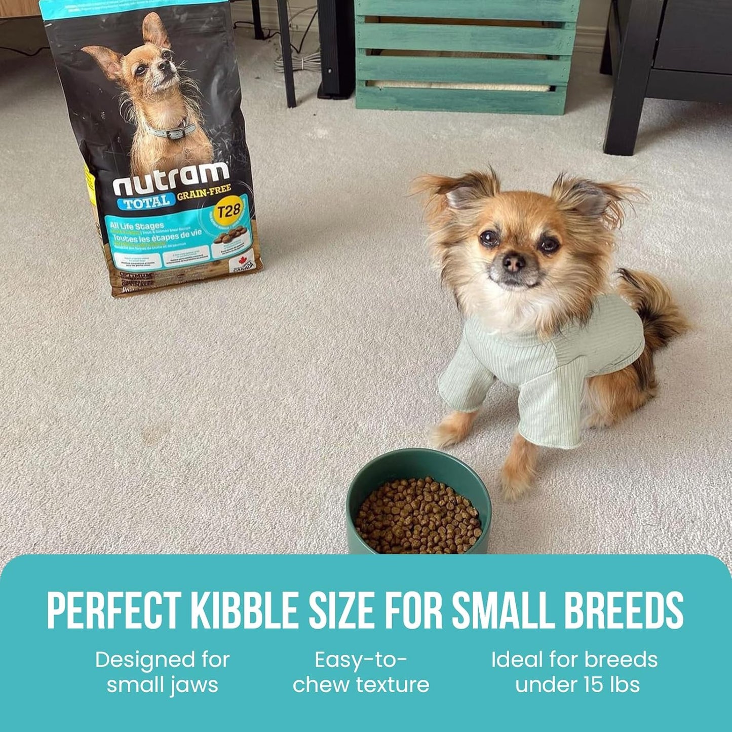 T28 Grain-Free Dog Food for Small & Toy Breeds – High Protein Trout & Salmon Meal Kibble | Chicken-Free, Limited Ingredient, Fish Dry Dog Food for Small Dogs & Puppies (4.4 Pounds)
