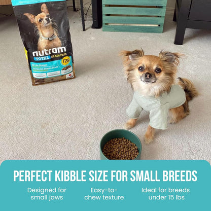 T28 Grain-Free Dog Food for Small & Toy Breeds – High Protein Trout & Salmon Meal Kibble | Chicken-Free, Limited Ingredient, Fish Dry Dog Food for Small Dogs & Puppies (4.4 Pounds)