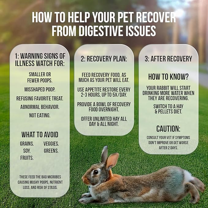 Sherwood Pet Health Rabbit Emergency kit and Bulk Recovery Food (Large kit)