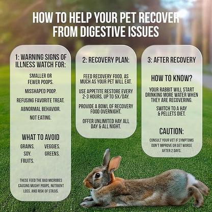 Sherwood Pet Health Rabbit Emergency kit and Bulk Recovery Food (Small kit)