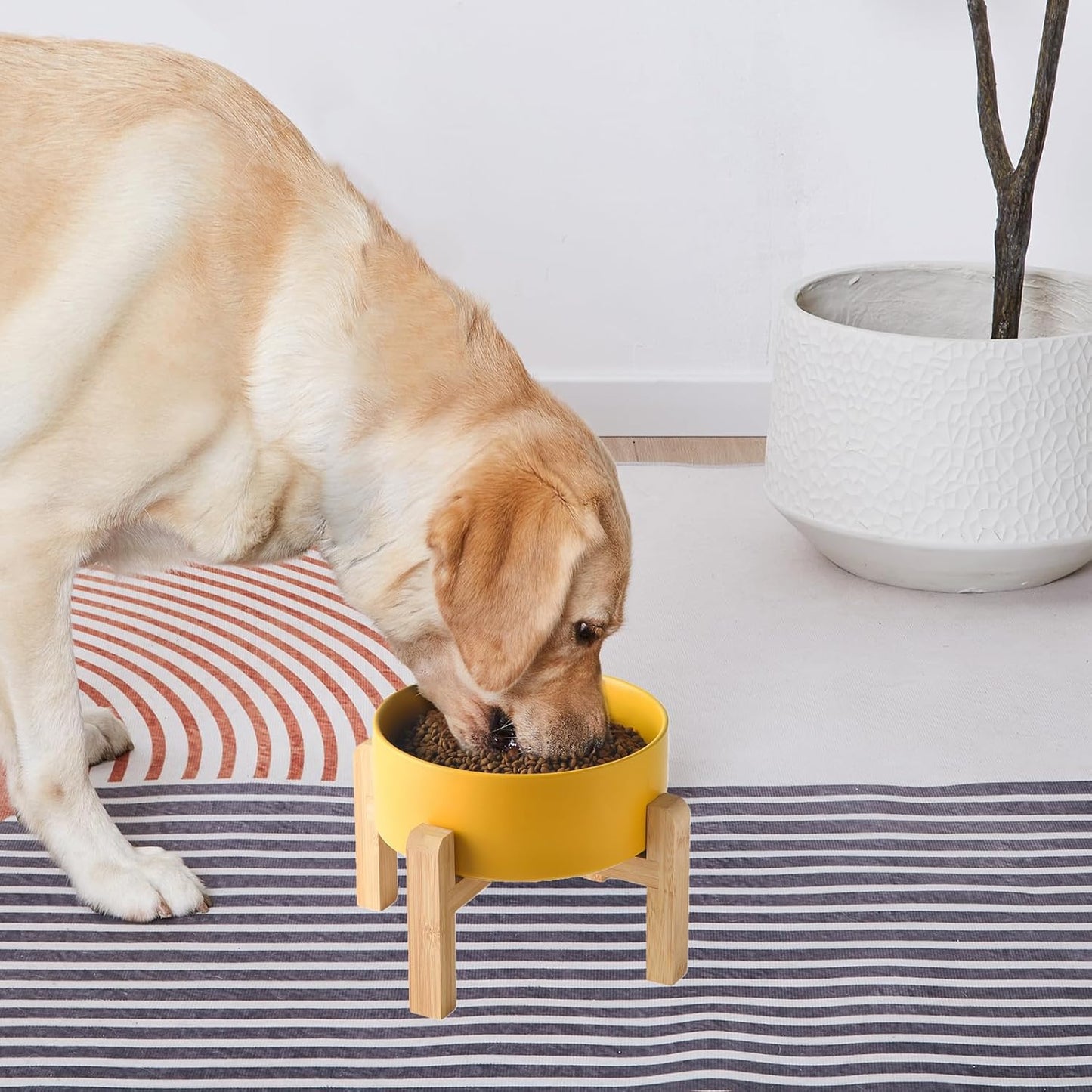 6'' Ceramic Raised Dog Bowl - 30Oz Dog Food & Water Bowl with Elevated Non-Slip Bamboo Stand, Dishwasher & Microwave Safe, Anti Vomiting Heavy Duty Pet Bowl for Small and Medium Dogs, Yellow