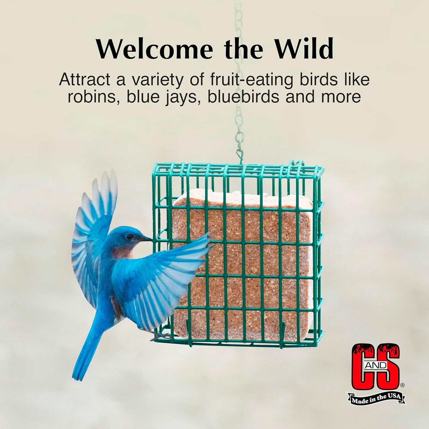 C&S Berry Suet Treat, 11.75 Ounce, 8 Pack