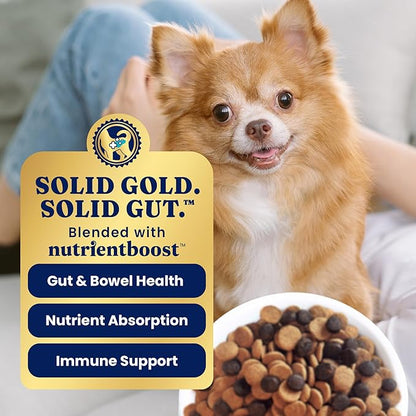 Solid Gold Toy & Small Breed Dry Dog Food Small Bites – Real Lamb, Grain Free, Gluten Free, High Fiber Healthy Kibble w/Probiotics for Gut Health & Digestion Support– All Ages NutrientBoost –3.75LB