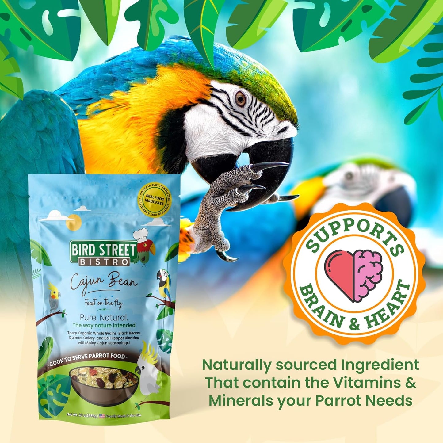 Parrot Parakeet Cockatiel Food - Bird Food - Cooks in 3-15 min with Natural & Organic Grains - Legumes - Non-GMO Fruits, Vegetables, & Health Orientated Spices (4.00 Pound (Pack of 1), Cajun Bean)