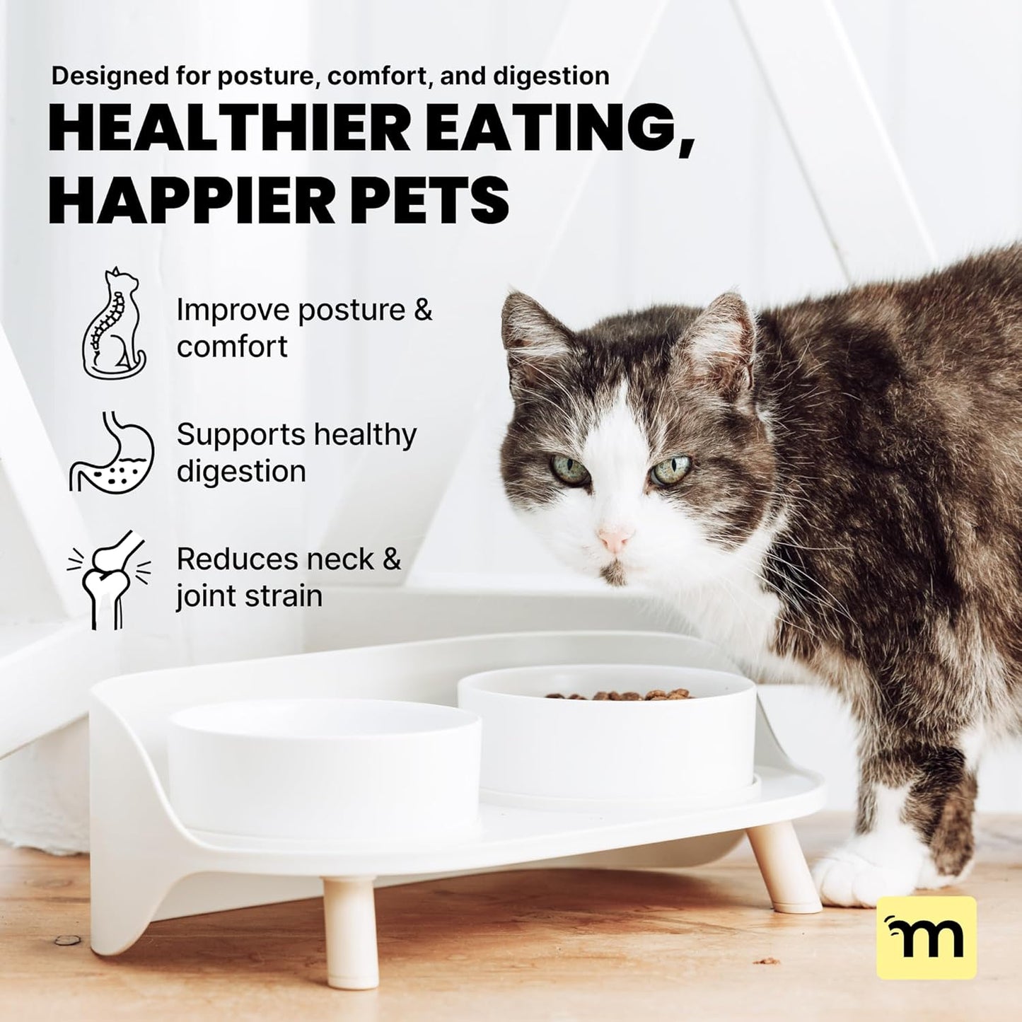 MalsiPree Dog Bowls Elevated & Pet Bowls - Small, Sand Beige - 45° Tilt Stand with Splash Guard - Dog Feeding Station with Ceramic Dishes for Food & Water