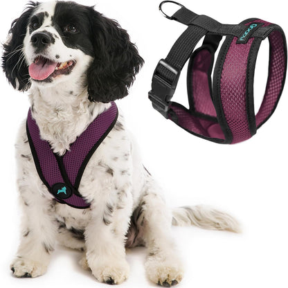 Gooby Comfort X Head In Harness - Purple, Large - No Pull Small Dog Harness Patented Choke-Free X Frame - Perfect on the Go Dog Harness for Medium Dogs No Pull or Small Dogs for Indoor and Outdoor Use