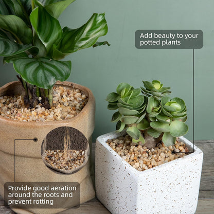 5lb Mixed Color Small Silica Gravel Pebbles, 1/5 inch Decorative Stones for Succulents, Pebbles for Vases,Plants Rocks, Aquarium Sand, Top Dressing, Outdoor Decorative Rocks