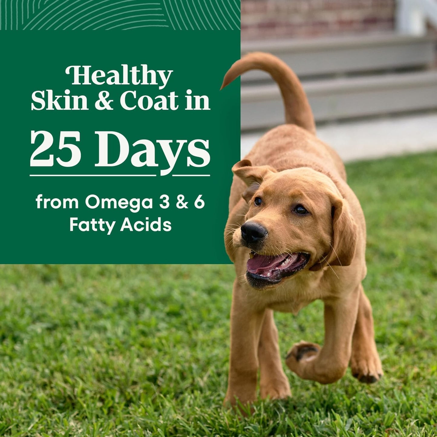 Nutro Natural Choice Chicken & Brown Rice Large Breed Puppy Food Dry Recipe, 30 lb. Bag