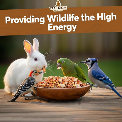 8 LB - Raw Shelled Peanuts For Squirrels, Out of Shell Peanuts For Birds and Wildlife- Squirrel Food, Wild Bird Seed - Grown in The USA