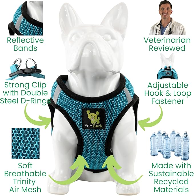 EcoBark Step in Dog Harness - Reflective Soft Luxurious Mesh Dog Harnesses for XXS, XS, Small, and Medium Dogs - Eco-Friendly Comfort Secure Halter No Pull Adjustable Pet Vest (Aqua Sport, XXXS)